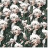 flat750x075f pad750x750f8f8f8 9 - Danganronpa Shop